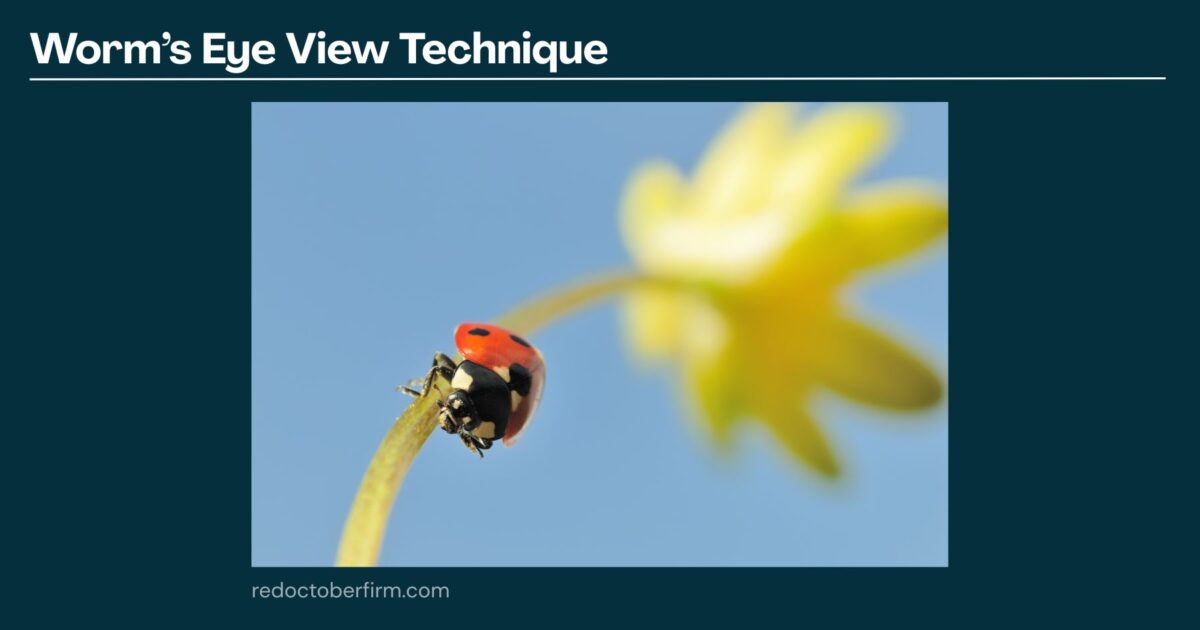 22 Basic Photography Techniques You Need To Level Up! A Close-Up, Worm’s-Eye View Of A Ladybug On A Plant Stem With A Blurred Yellow Flower And Blue Sky In The Background.