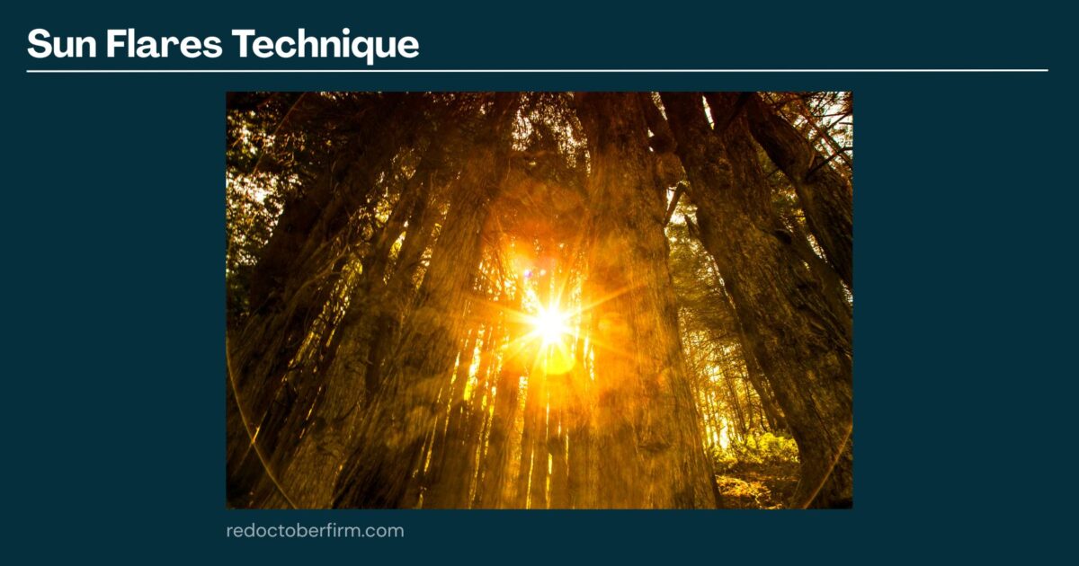 22 Basic Photography Techniques You Need To Level Up! A Bright Sun Flare Shines Through Tall Tree Trunks In A Forest, Creating A Warm Yellow Glow And Rays Of Light.