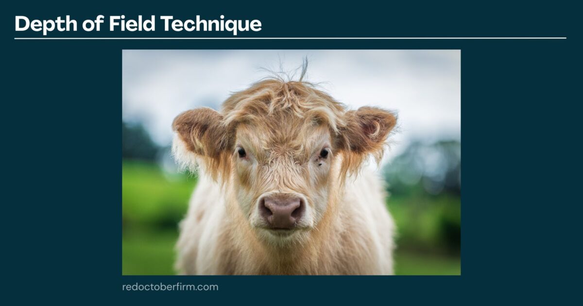 22 Basic Photography Techniques You Need To Level Up! A Close-Up Of A Light Brown Cow With A Blurred Green Background, Demonstrating A Depth Of Field Photography Technique.