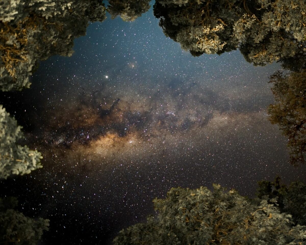 What Is Shutter Speed In Photography? (The Complete Guide) The Milky Is Seen Through A Hole In The Trees As The Shutter Speed Captures Its Ethereal Beauty.