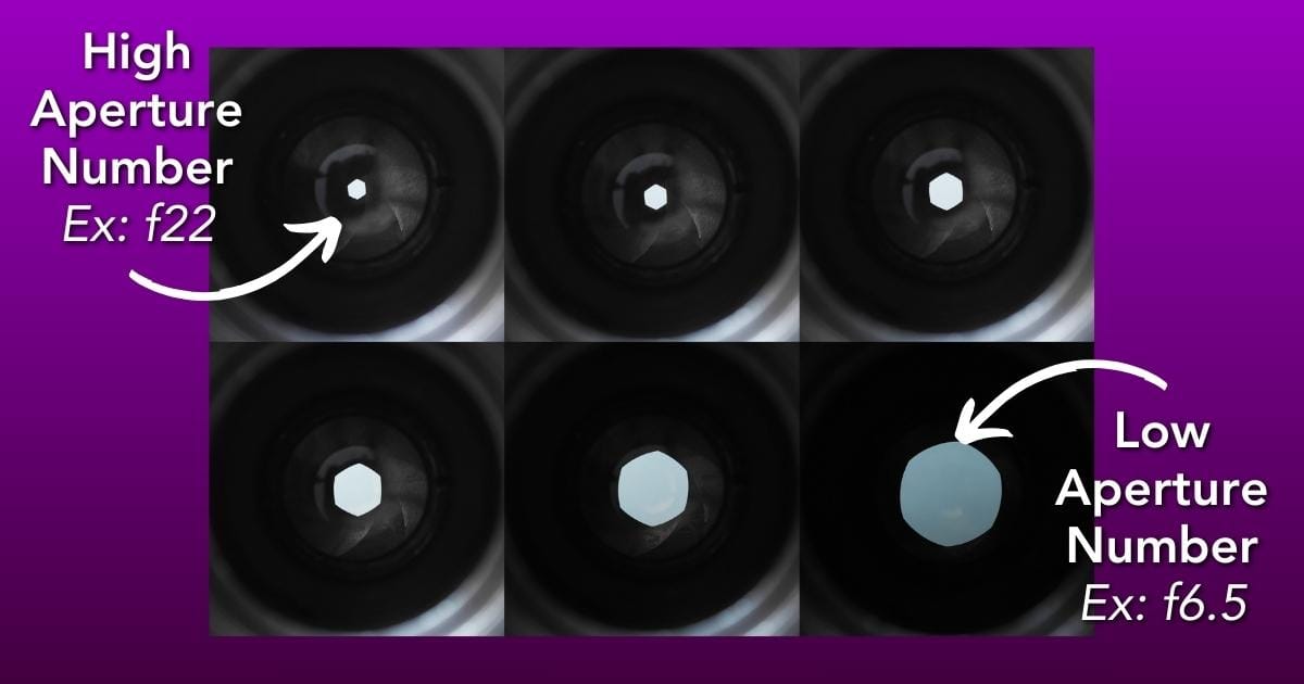 What Is Exposure In Photography? (Perfect For Beginner'S) High Aperture Number Low Aperture Number - Screenshot.