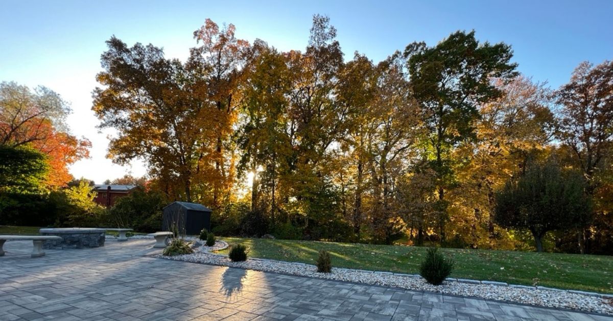 Photography At Home: Tips For Capturing Great Shots Indoors A Paver Patio With Trees In The Background, Suitable For Photography At Home.