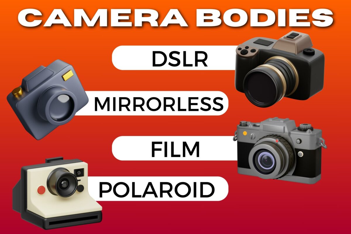 The Complete Guide To Photography Equipment Camera Bodies Dslr Mirrorless Film Polaroid.