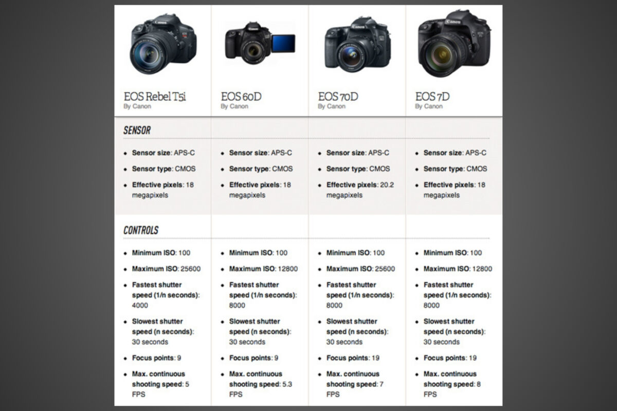 How To Choose A Camera (Simple Buying Guide For Beginners) Canon Eos Dslr Is A Top Choice When It Comes To Choosing A Camera. With Its Advanced Features And Capabilities, This Dslr Stands Out From The Competition. Whether You Are A