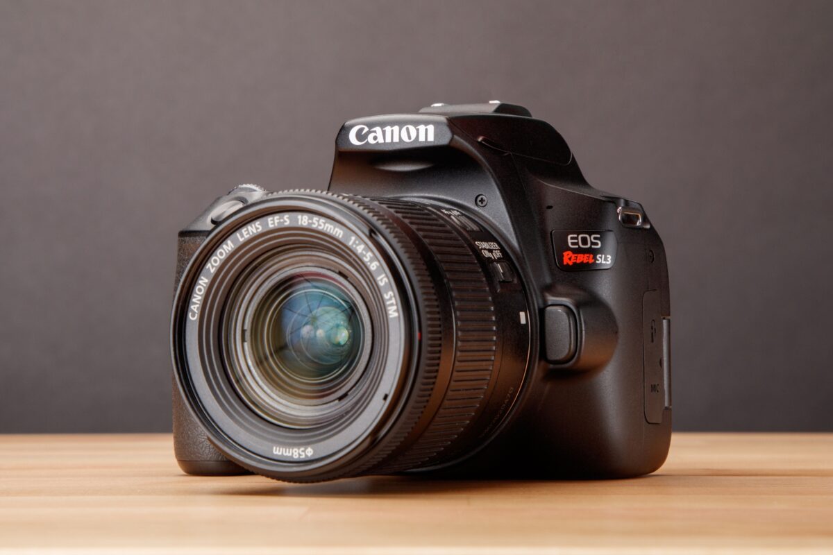 The Best Budget Friendly Cameras For Beginners Canon Eos Sl3