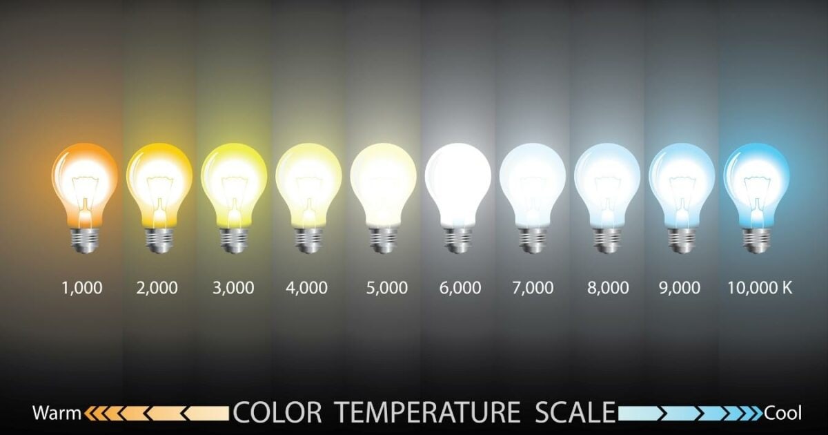 Instantly Take Better Photos Like The Pros (No Fancy Gear Needed) A Set Of Light Bulbs With Different Color Temperature Scales Designed To Enhance The Steps To Photography.