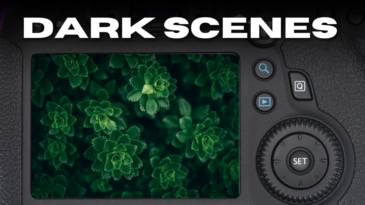 Understanding Metering Modes And How They Affect Photos A Camera Featuring Various Metering Modes, Specifically Designed To Capture Dark Scenes With Exceptional Clarity.