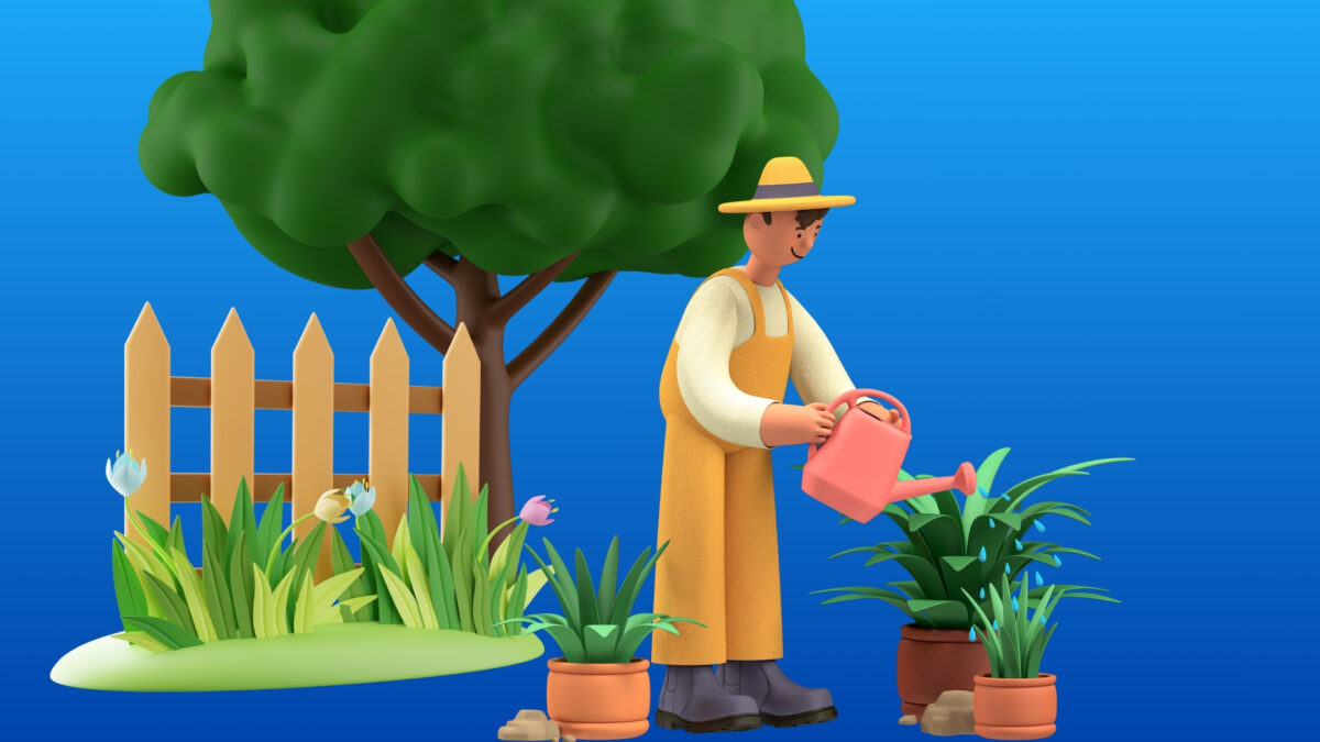 How To Organize Digital Photos As A New Photographer A Man Is Organizing Digital Photos In A Garden.