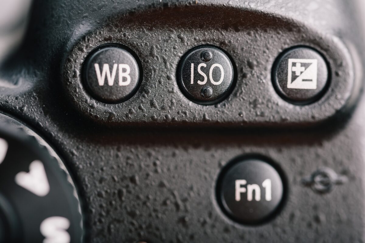 How To Choose A Camera (Simple Buying Guide For Beginners) A Close Up Of The Buttons On A Camera In Harsh Sunlight.