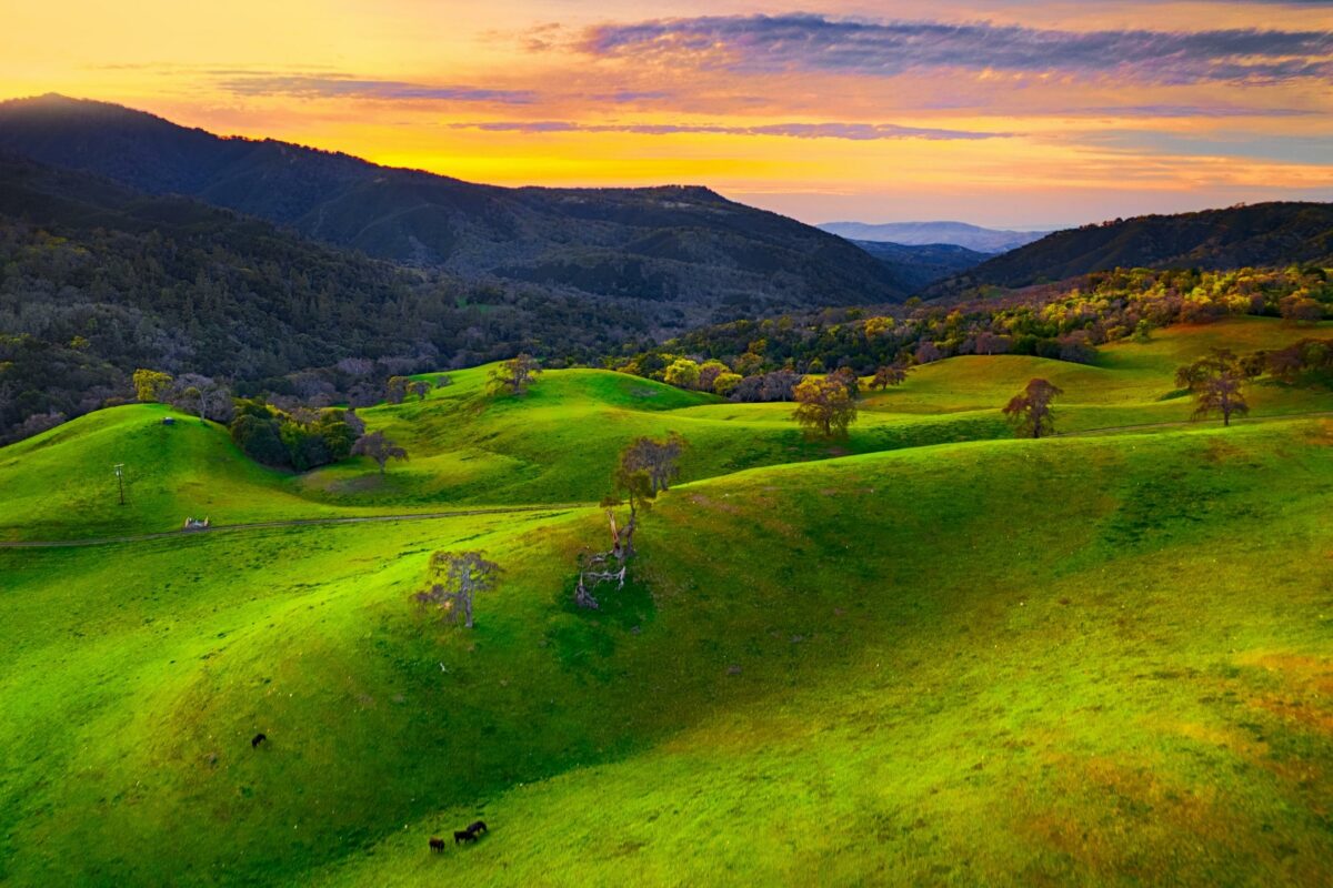 The Complete Guide To Nature Photography For Beginners A Captivating Nature Photography Of A Green Hillside At Sunset, Captured From An Aerial View.