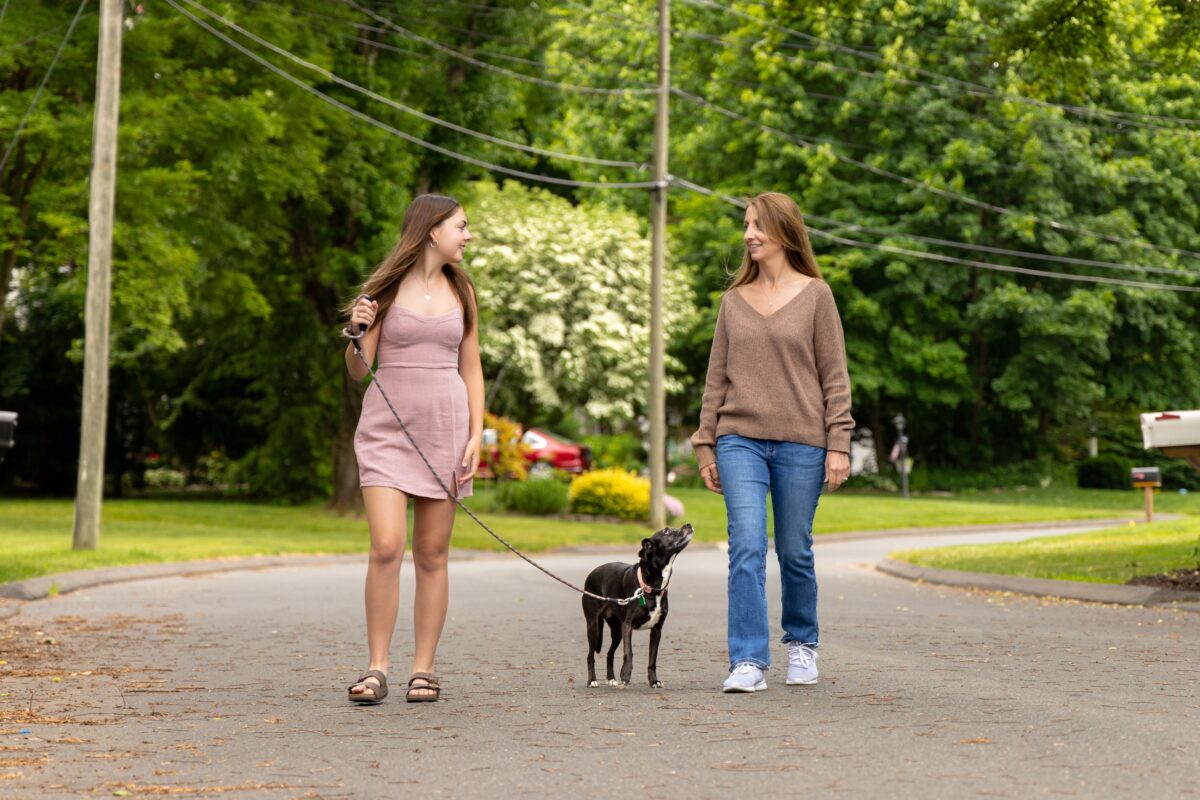 A Simple Guide To Harsh Sunlight Photography Two Women Walking A Dog On A Leash Under The Harsh Sunlight.