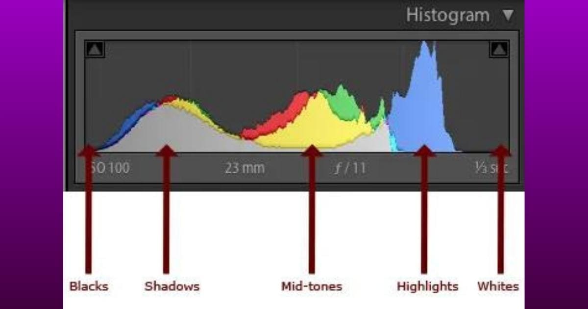 What Is Exposure In Photography? (Perfect For Beginner'S) A Picture Of A Light Meter With Different Colors.