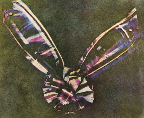 Tartan Ribbon By James Maxwell