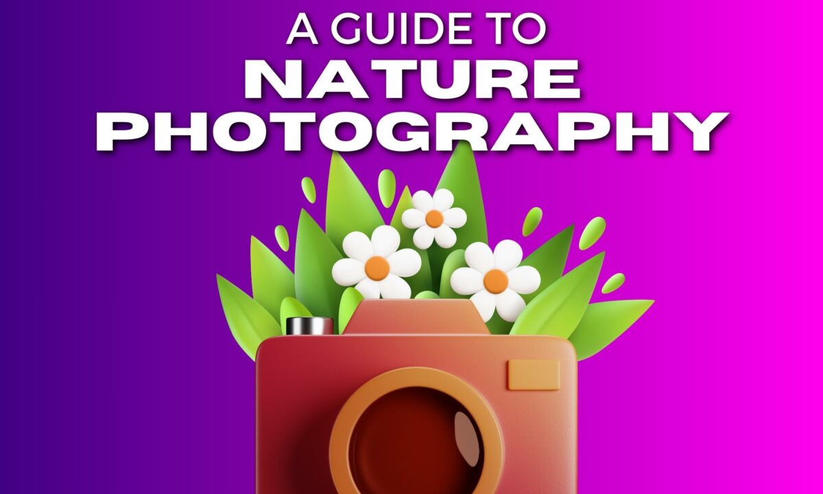 The Complete Guide To Nature Photography For Beginners A Beginner'S Guide To Nature Photography.