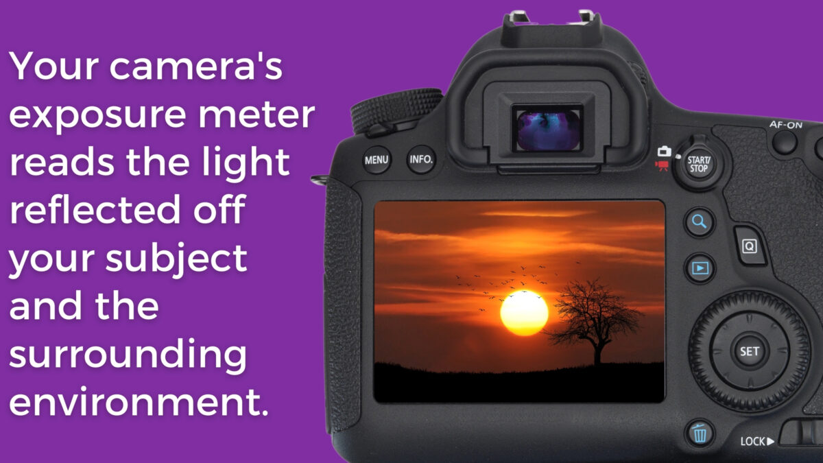 Understanding Metering Modes And How They Affect Photos Your Camera'S Metering Modes Read The Light Reflected Of Your Subject And Surrounding Environment.