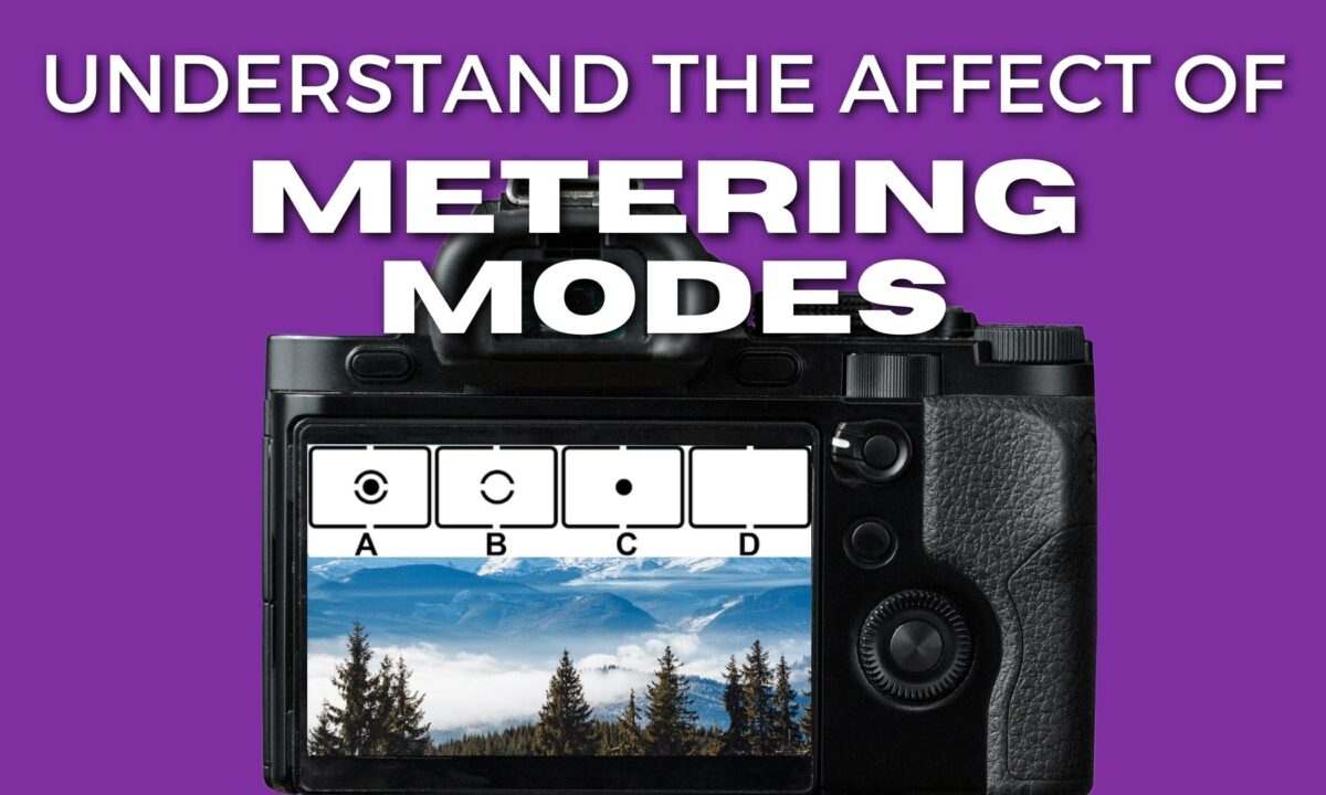 Understanding Metering Modes And How They Affect Photos Understanding The Effect Of Metering Modes In Photography.