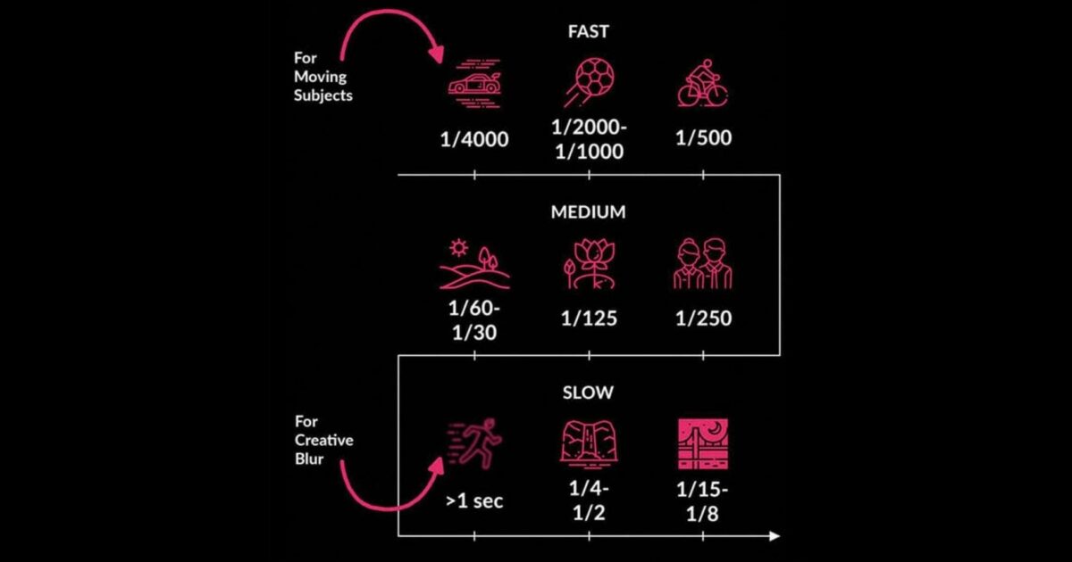 How To Review And Analyze Photos As A New Photographer A Diagram Illustrating The Chronological History Of Chinese Dynasties.