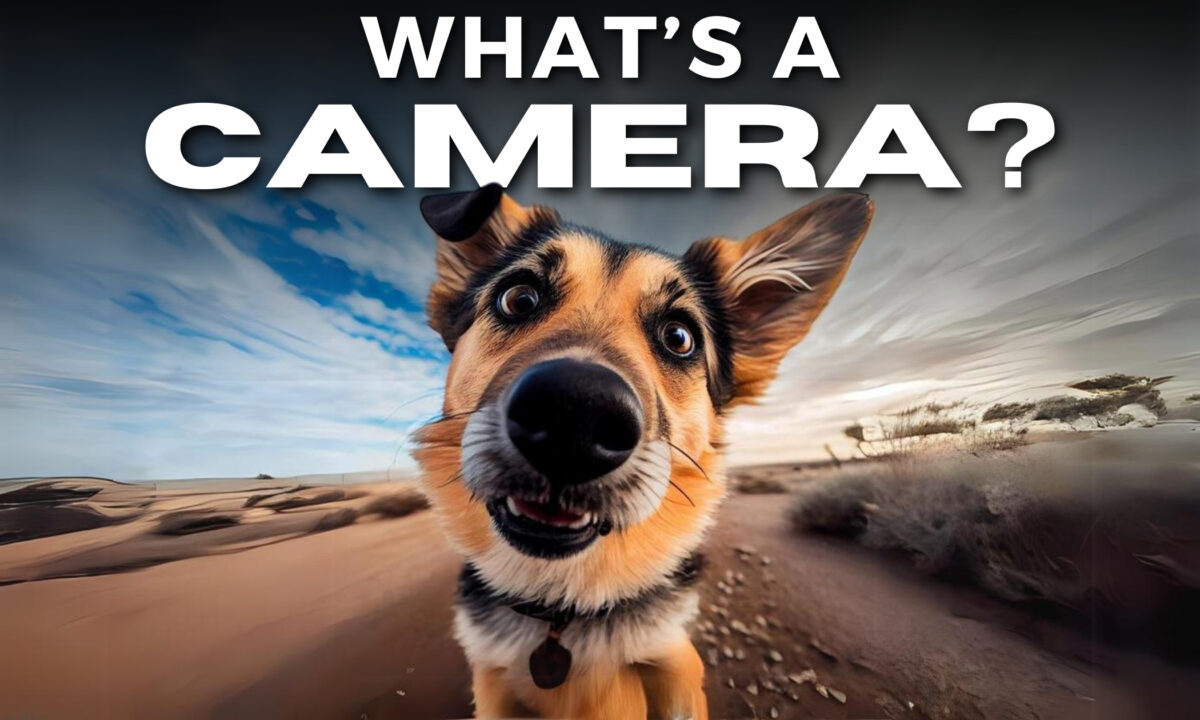 What Is A Camera? Learn The Magic Behind Taking Photos! What Is A Camera And How Does It Work?