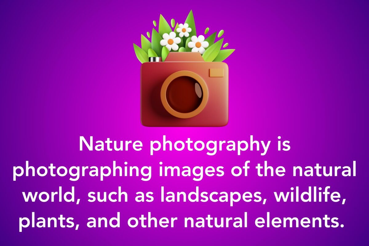The Complete Guide To Nature Photography For Beginners Nature Photography Is The Art Of Capturing Stunning Images Of The Natural World, Including Wildlife And Plants.