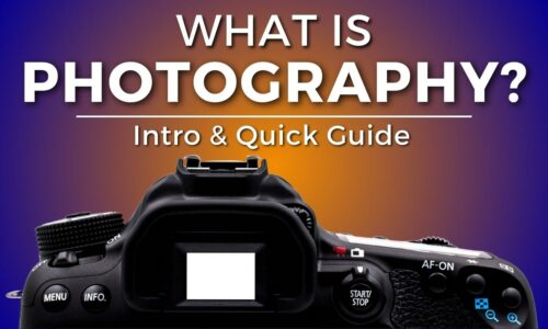 Quick Guide