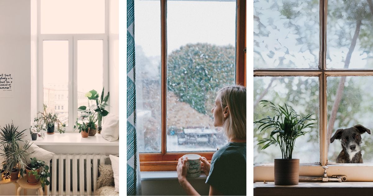 Photography At Home: Tips For Capturing Great Shots Indoors Four Pictures Of A Woman Sitting In Front Of A Window With A Dog, Capturing Photography At Home.